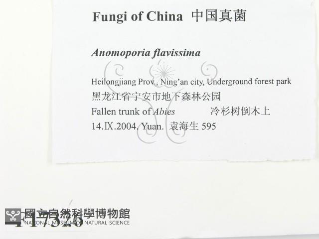 登錄號:F0017326藏品圖，第2張