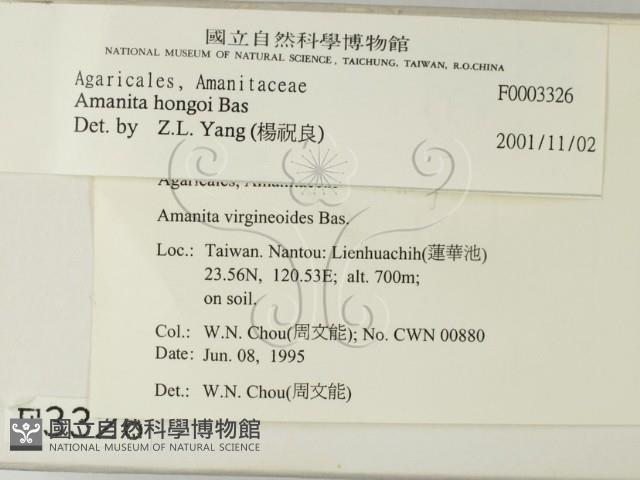 登錄號:F0003326藏品圖，第2張