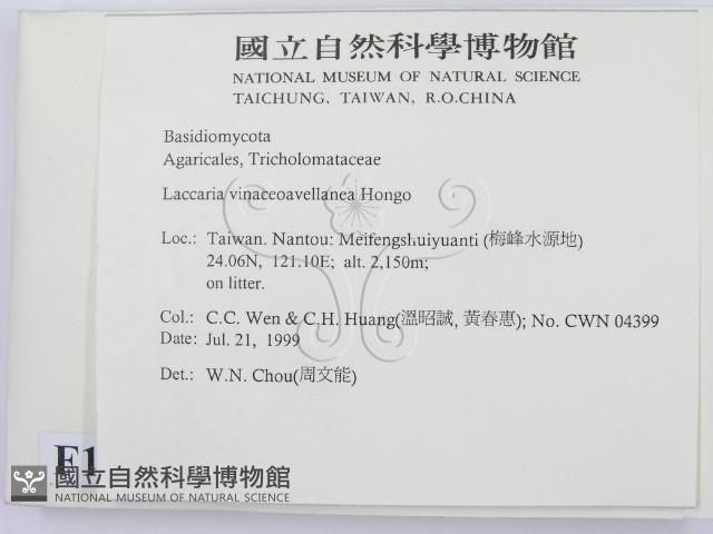 登錄號:F0013326藏品圖，第2張