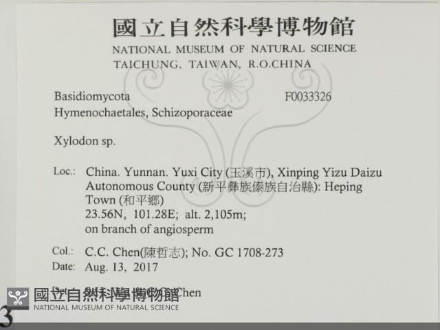 登錄號:F0033326藏品圖，第2張