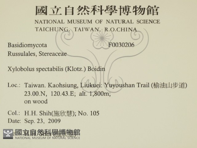登錄號:F0030206藏品圖，第2張
