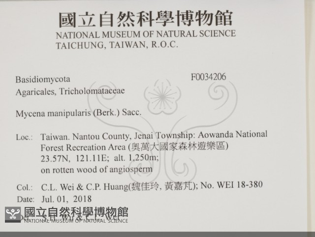 登錄號:F0034206藏品圖，第2張