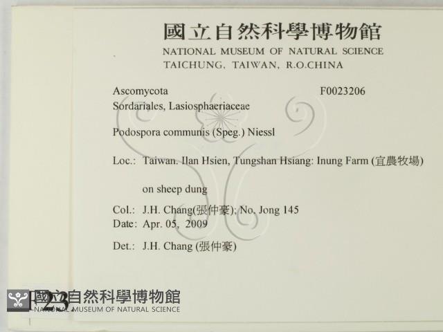 登錄號:F0023206藏品圖，第2張