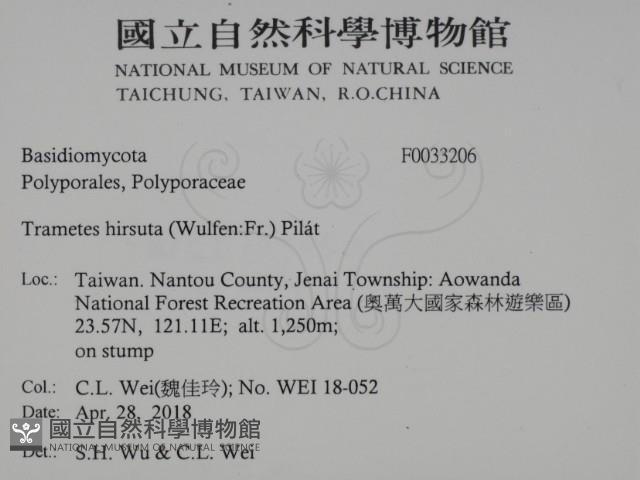 登錄號:F0033206藏品圖，第2張