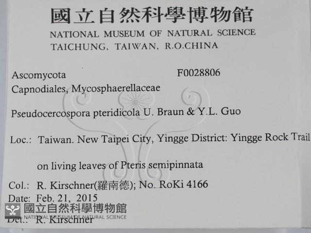 登錄號:F0028806藏品圖，第2張