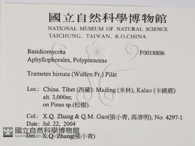 登錄號:F0018806藏品圖，第2張