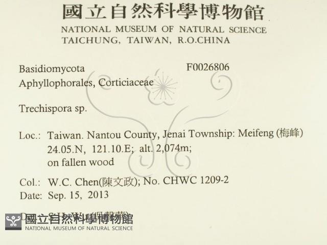 粗糙孢菌屬藏品圖，第2張