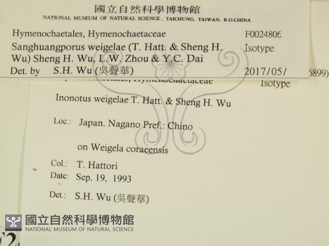 登錄號:F0024806藏品圖，第2張