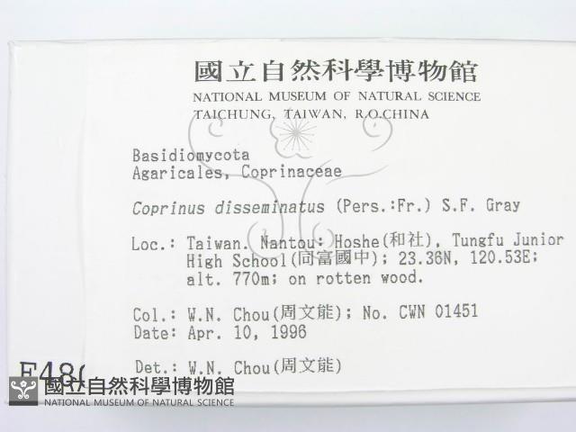 登錄號:F0004806藏品圖，第2張