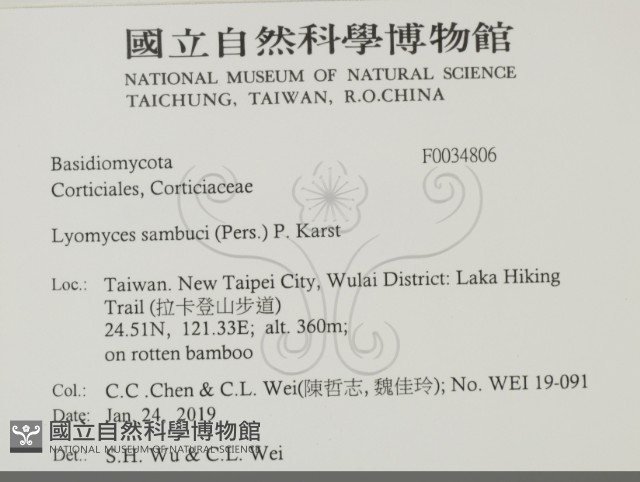 登錄號:F0034806藏品圖，第2張