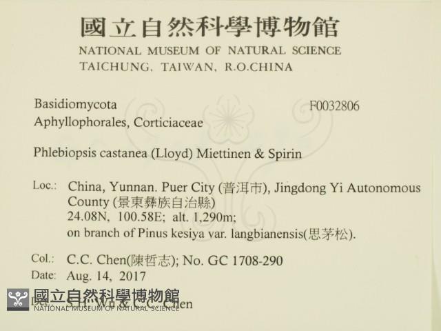 登錄號:F0032806藏品圖，第2張