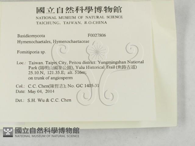 登錄號:F0027806藏品圖，第2張