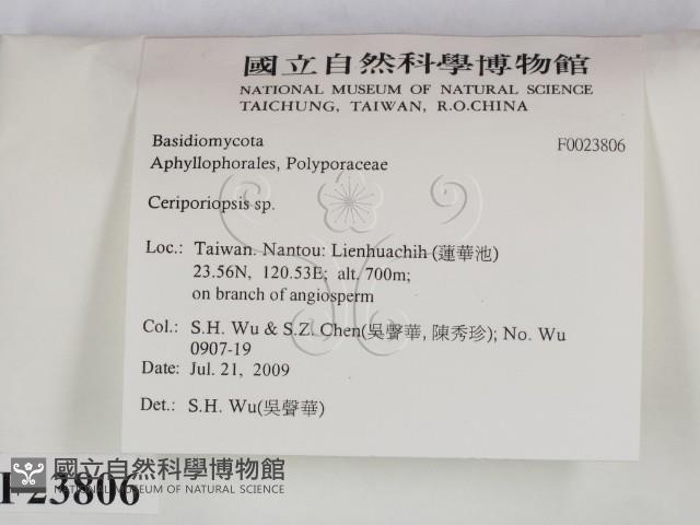 登錄號:F0023806藏品圖，第2張