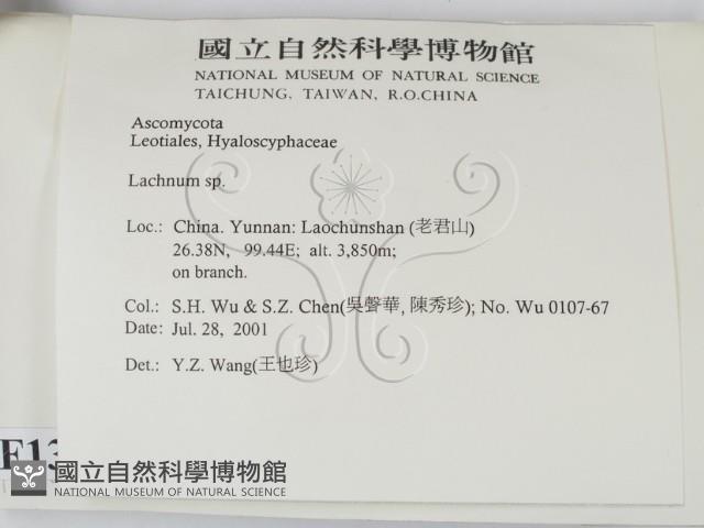 登錄號:F0013806藏品圖，第2張