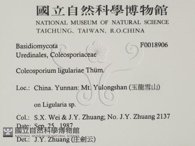 登錄號:F0018906藏品圖，第2張