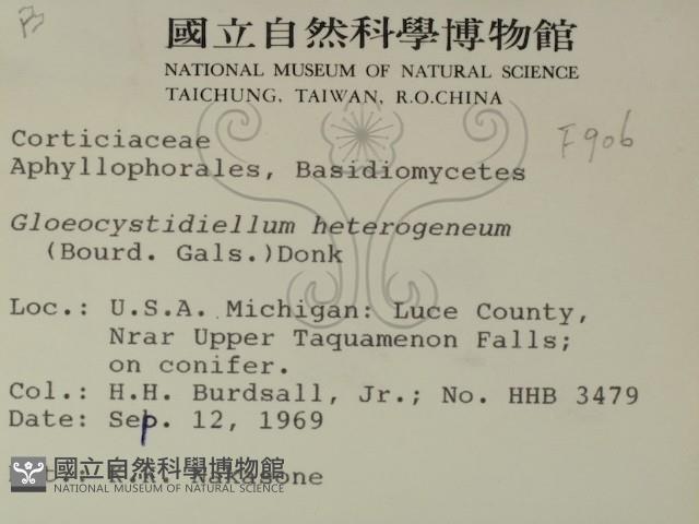 登錄號:F0000906藏品圖，第2張