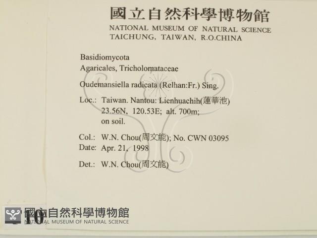 登錄號:F0010906藏品圖，第2張