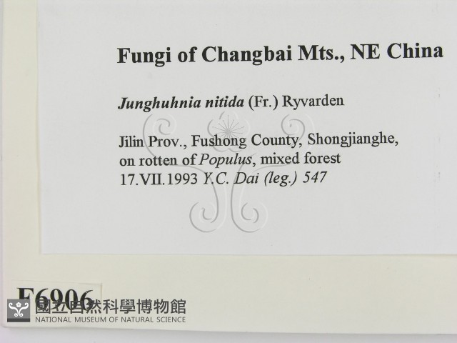 登錄號:F0006906藏品圖，第2張