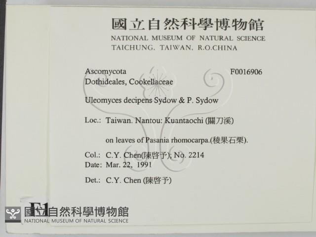 登錄號:F0016906藏品圖，第2張