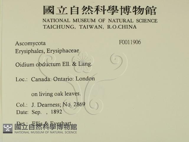 登錄號:F0011906藏品圖，第2張
