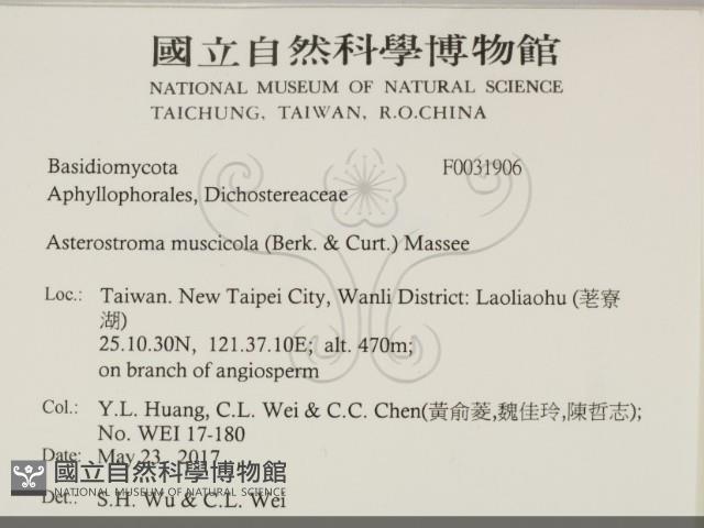 登錄號:F0031906藏品圖，第2張
