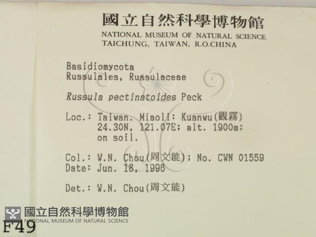 登錄號:F0004906藏品圖，第2張