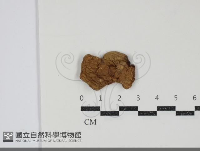 登錄號:F0034906藏品圖，第2張