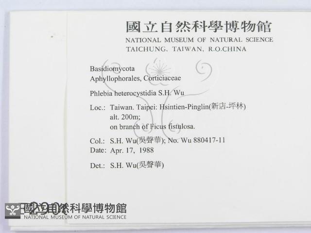 登錄號:F0002906藏品圖，第2張