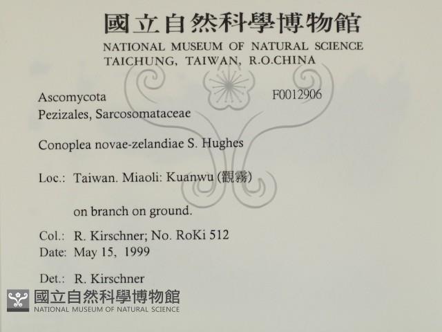 登錄號:F0012906藏品圖，第2張