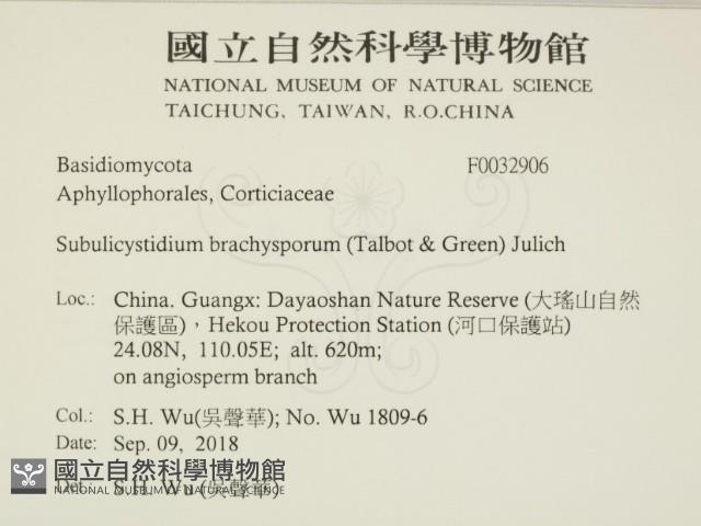 登錄號:F0032906藏品圖，第2張