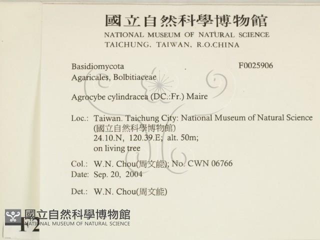 登錄號:F0025906藏品圖，第2張