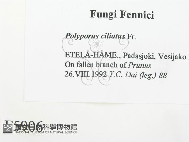 登錄號:F0005906藏品圖，第2張