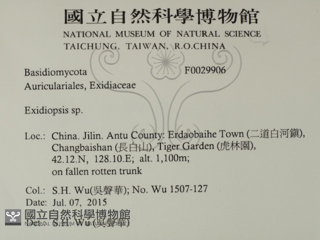 登錄號:F0029906藏品圖，第2張
