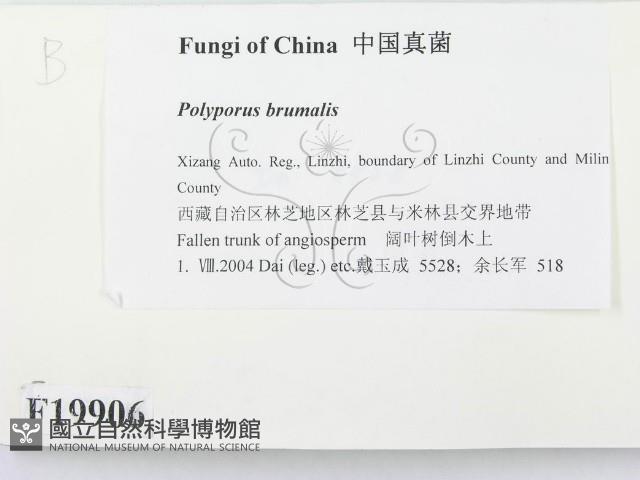 登錄號:F0019906藏品圖，第2張