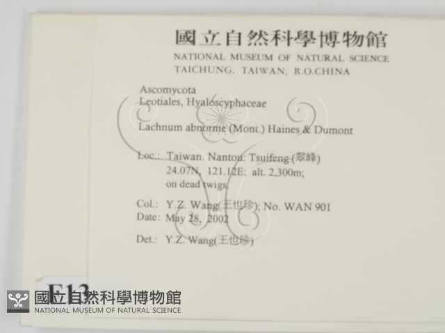 登錄號:F0013906藏品圖，第2張
