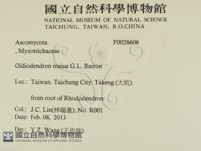 登錄號:F0028606藏品圖，第2張