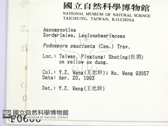 登錄號:F0000606藏品圖，第2張