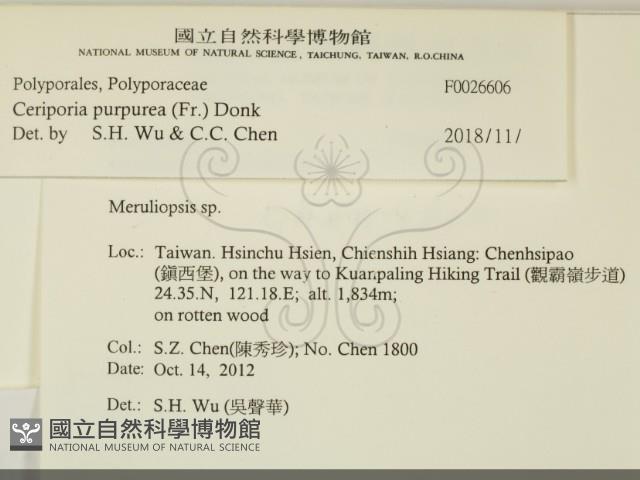 登錄號:F0026606藏品圖，第2張