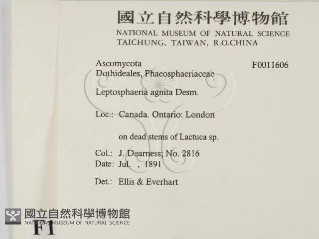 登錄號:F0011606藏品圖，第2張