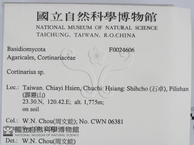 登錄號:F0024606藏品圖，第2張