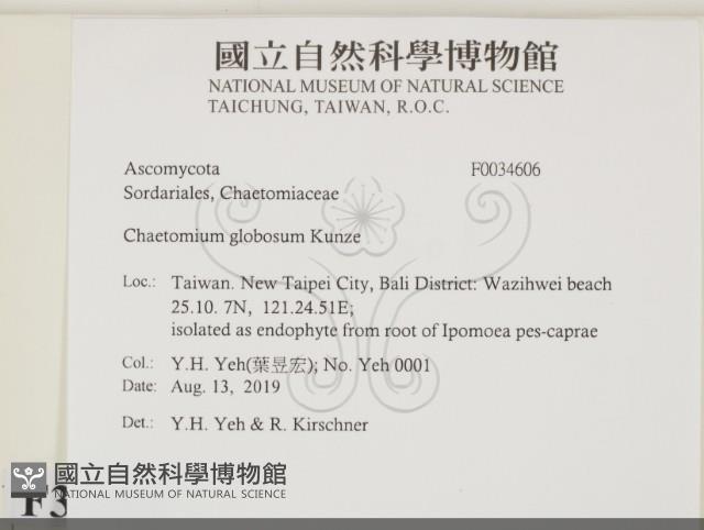 登錄號:F0034606藏品圖，第2張