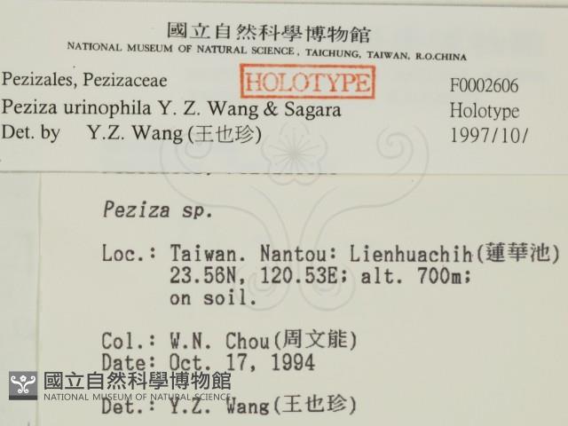 登錄號:F0002606藏品圖，第2張