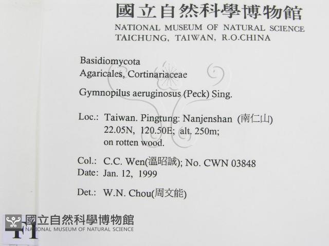 登錄號:F0012606藏品圖，第2張