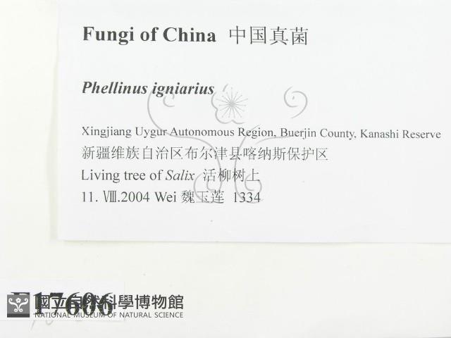 登錄號:F0017606藏品圖，第2張