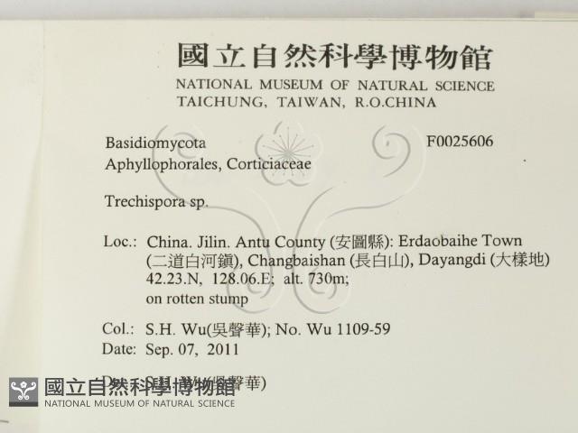 館號:F0025606藏品圖，第2張