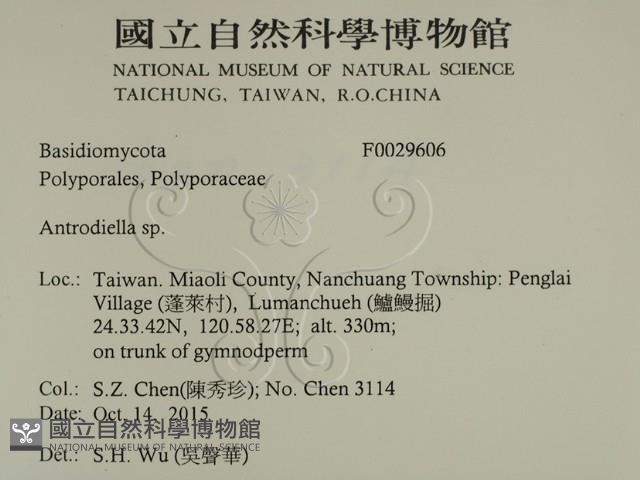 登錄號:F0029606藏品圖，第2張