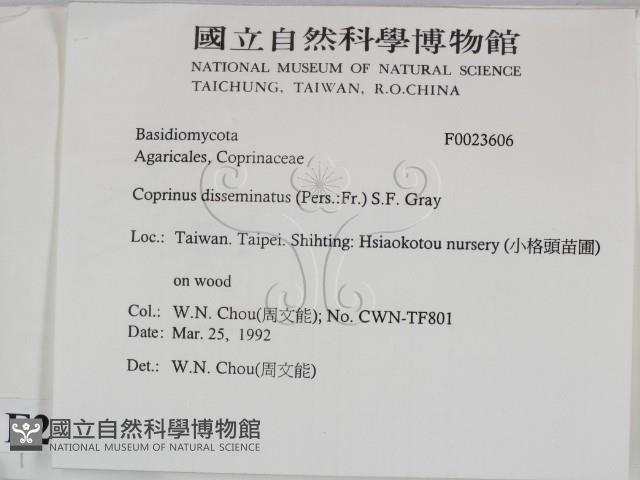 登錄號:F0023606藏品圖，第2張