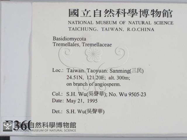 登錄號:F0003606藏品圖，第2張