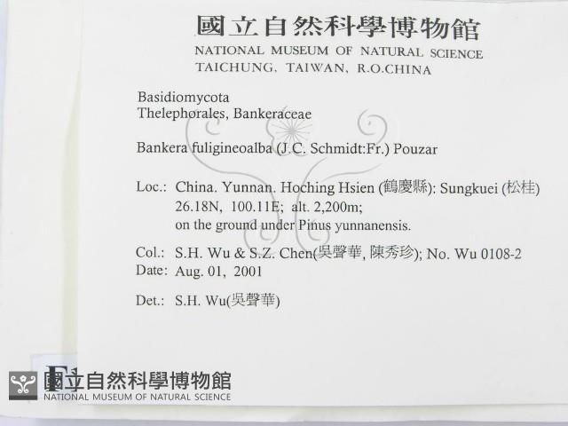 登錄號:F0013606藏品圖，第2張