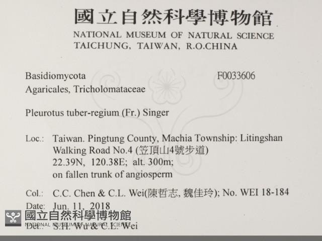 登錄號:F0033606藏品圖，第2張